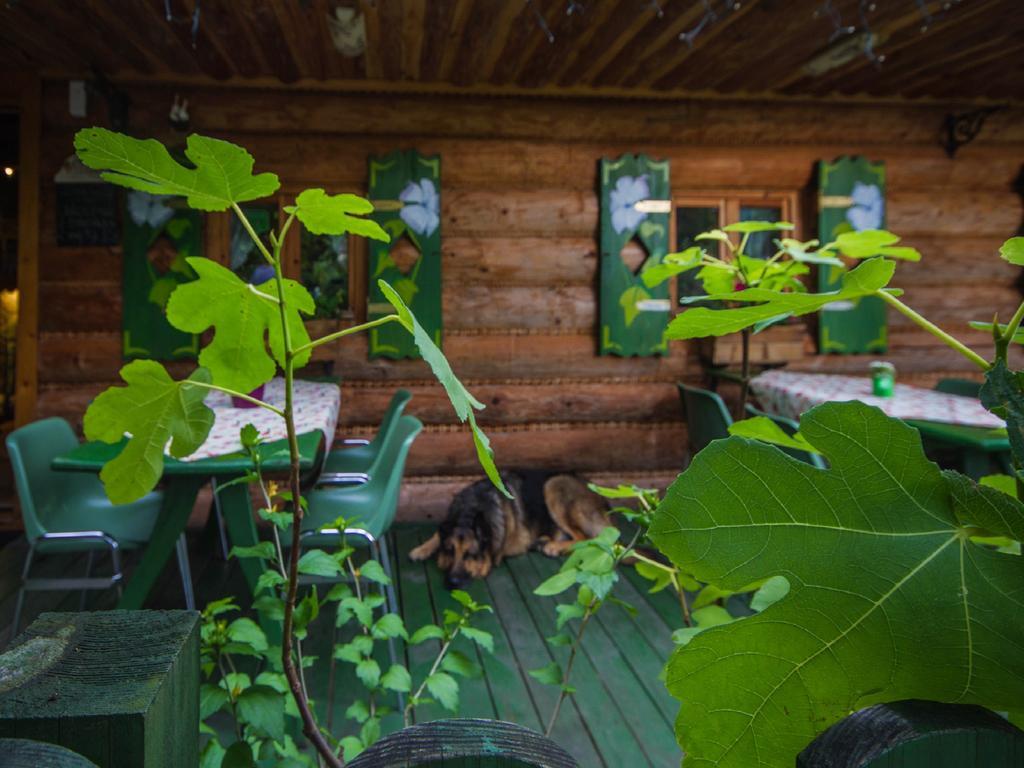 Willa Jagniątków Bed and Breakfast Exterior foto